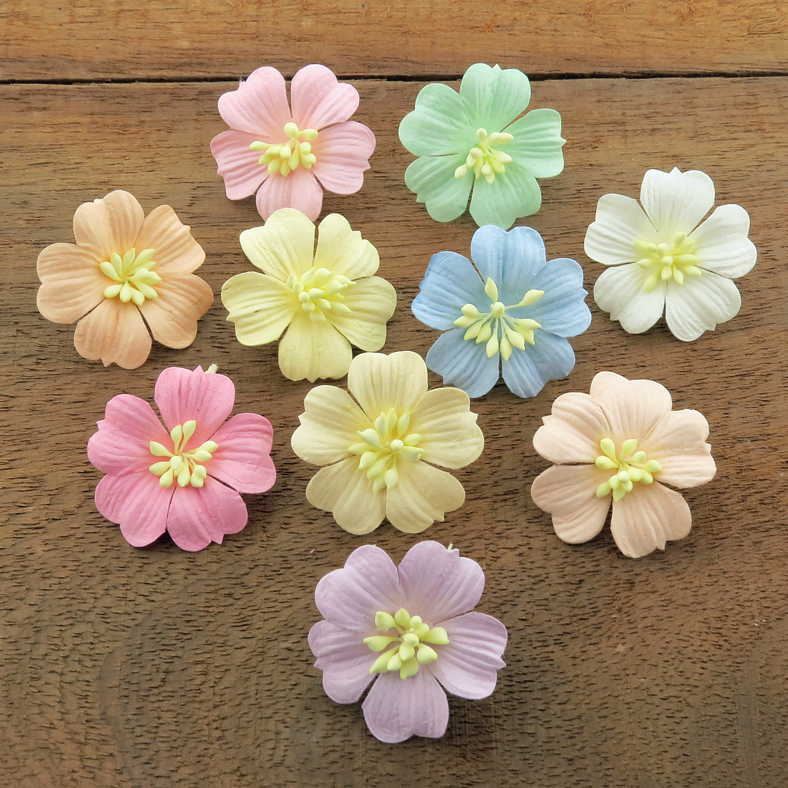 MIXED PASTEL COTTON STEM MULBERRY PAPER FLOWERS - SET B